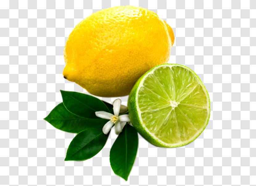 Lemon Key Lime Juice Photography - Citric Acid - Fruit Transparent PNG