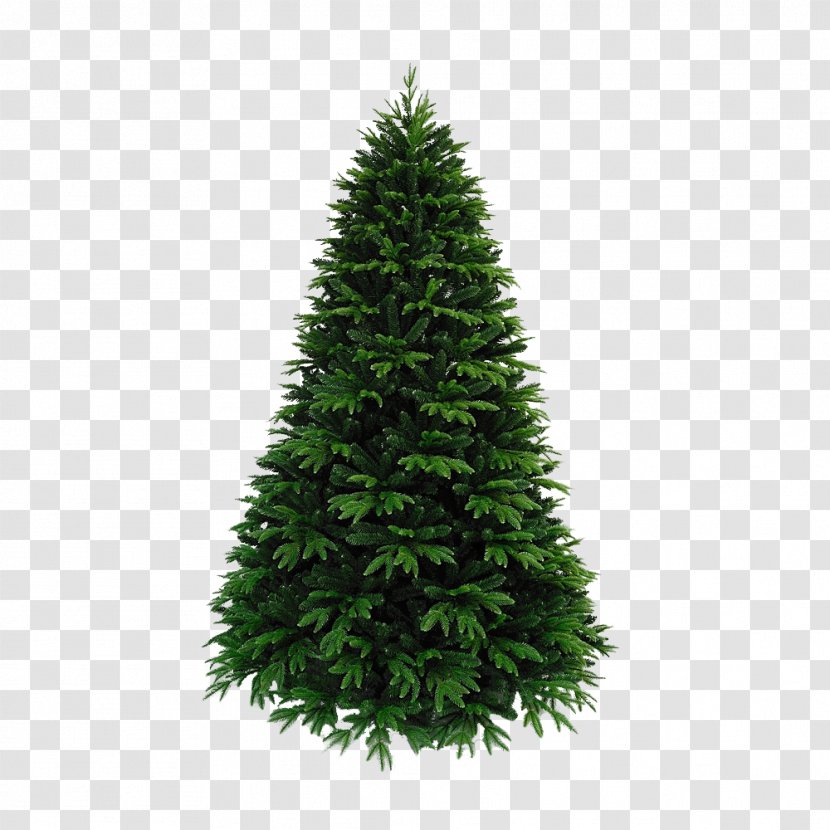 Artificial Christmas Tree Pre-lit - Ornament - Fir Transparent PNG