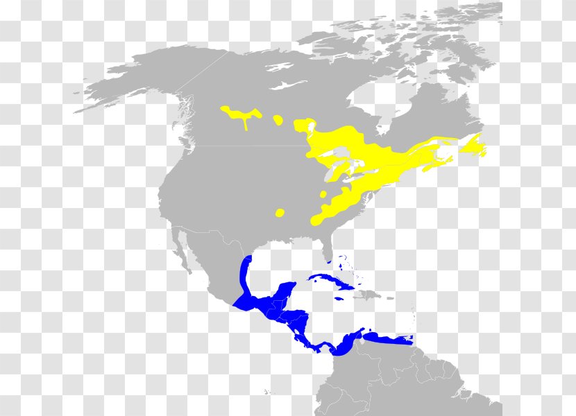 United States South America Latin Central Cultural Region - Sky Transparent PNG