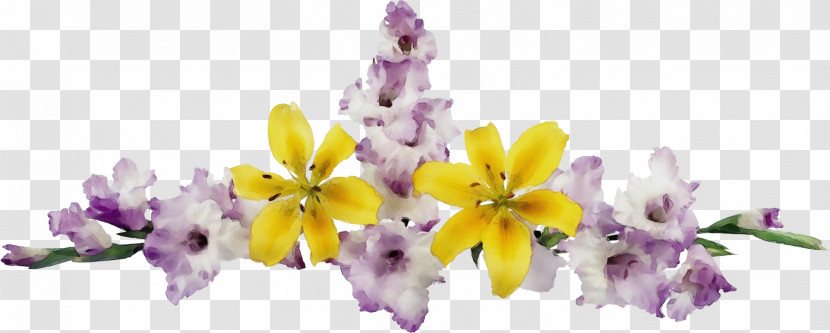 Lavender Transparent PNG