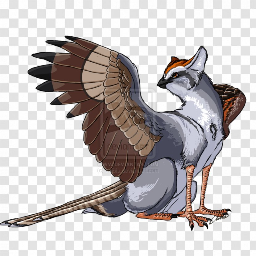 Bird House Sparrow Griffin Chipping Transparent PNG
