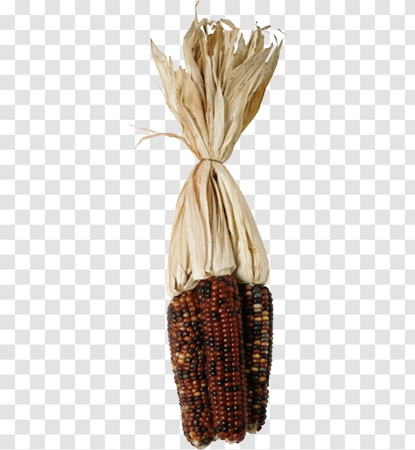 Corn On The Cob Maize Food - Color Depth - Dark Transparent PNG