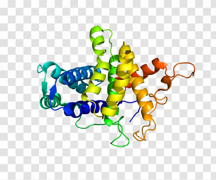 QSOX1 Thiol Oxidase Protein - Frame - Flli Fontana Transparent PNG