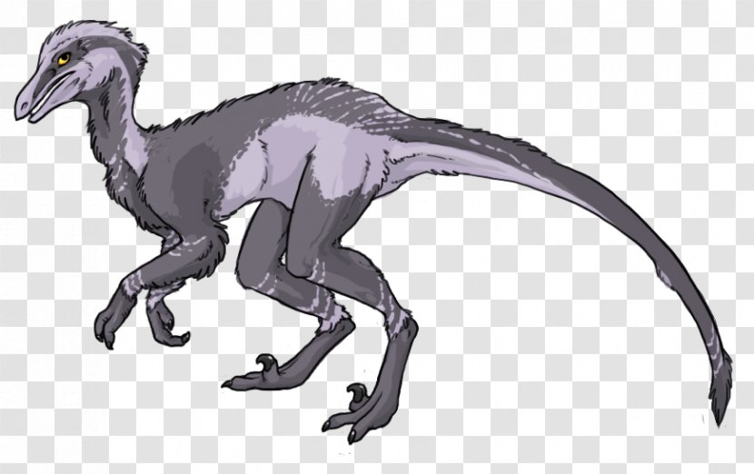 Velociraptor Pyroraptor Graciliraptor Taveirosaurus Dinosaur - Extinction Transparent PNG