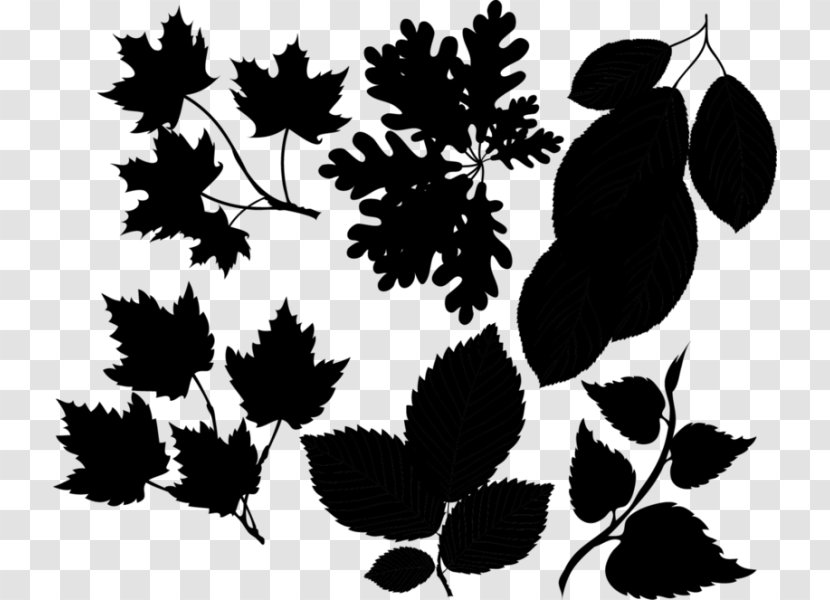 Flowering Plant Fruit Pattern Font - Leaf - Pollinator Transparent PNG