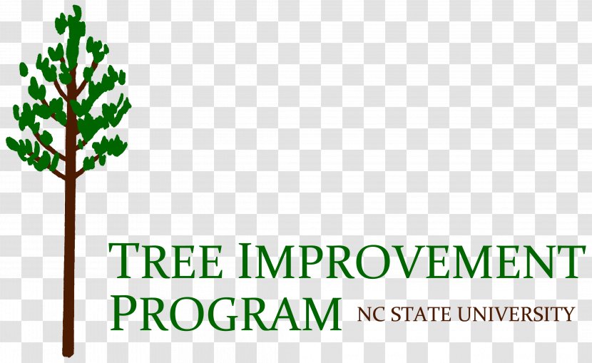 NCSU Tree Improvement Cooperative Logo Forest Branch - Points Transparent PNG