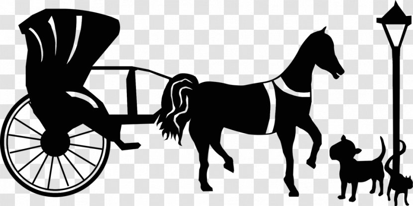 Homecare Veterinary Clinic Veterinarian Mustang Horse Harnesses Chariot Transparent PNG