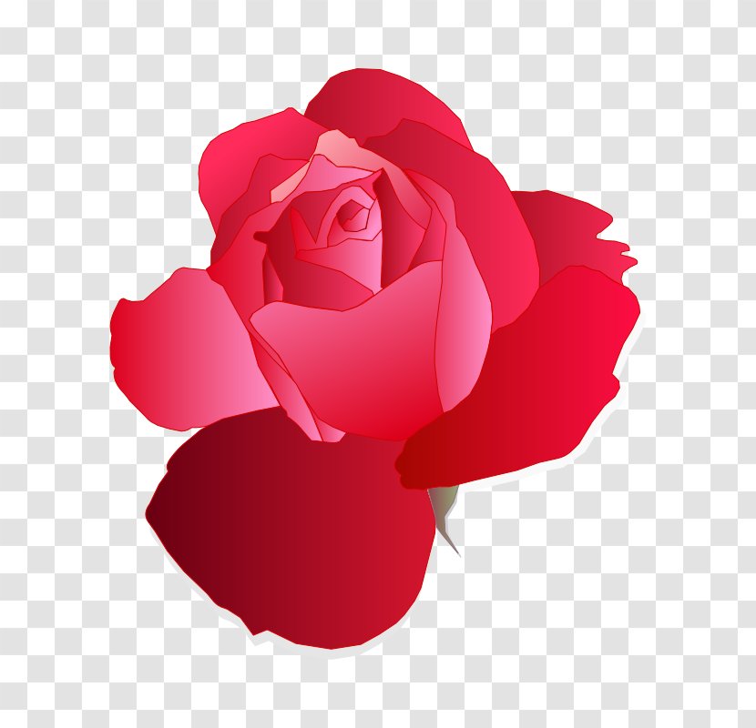 Blue Rose Clip Art - Magenta - Romantic Flower Transparent PNG