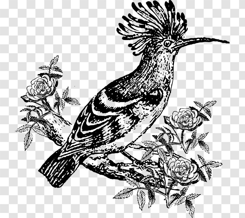 Bird Drawing Hoopoe Clip Art - Visual Arts - Flower Black Transparent PNG