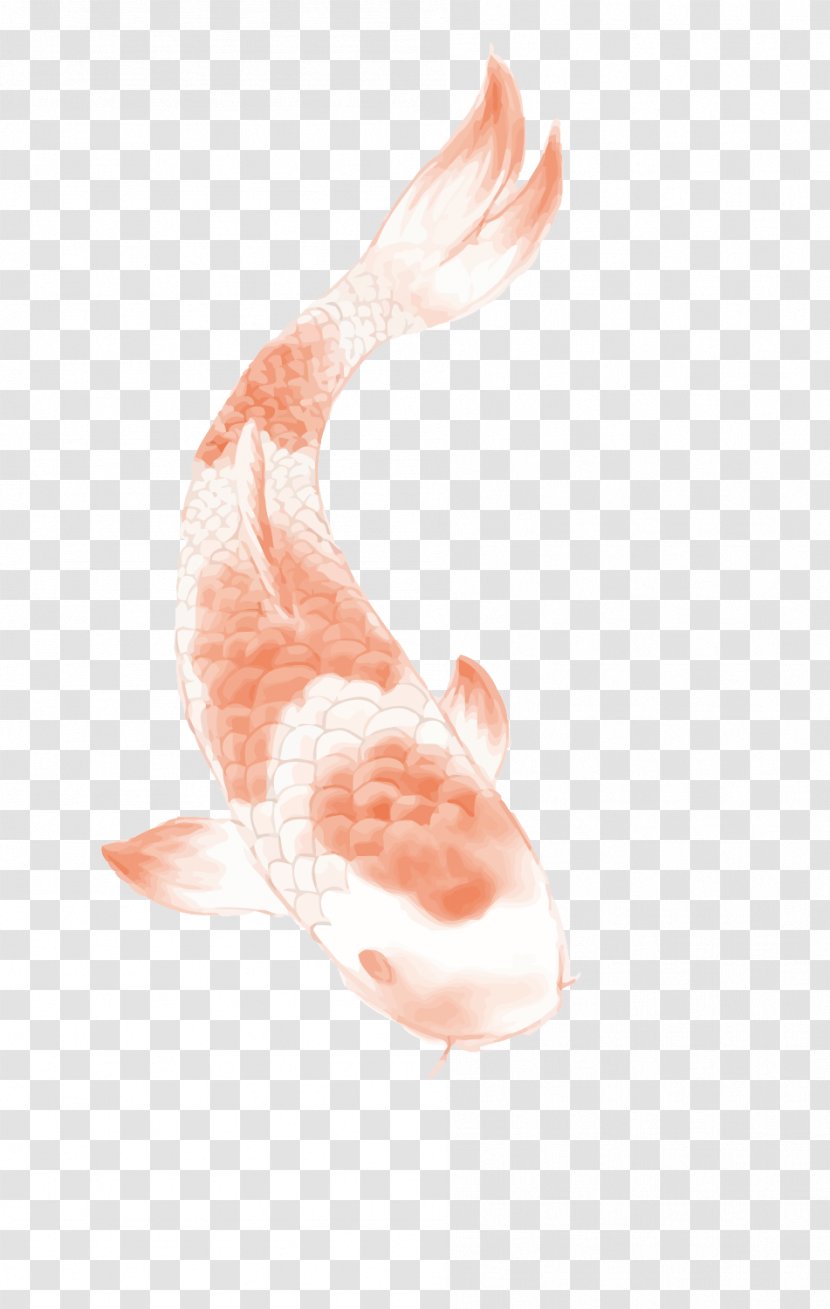 Butterfly Koi Tattoo - Fish - Chinese Wind Carp Transparent PNG