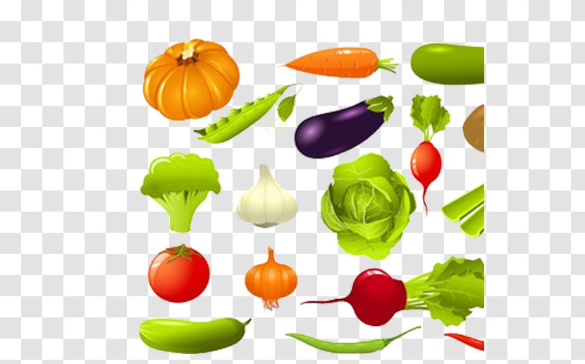 Leaf Vegetable Cucumber Clip Art - Stock - Cartoon Vegetables Transparent PNG