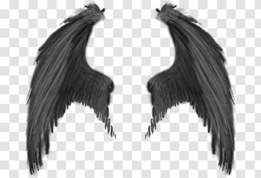 Demon Devil Angel - Wings Transparent PNG