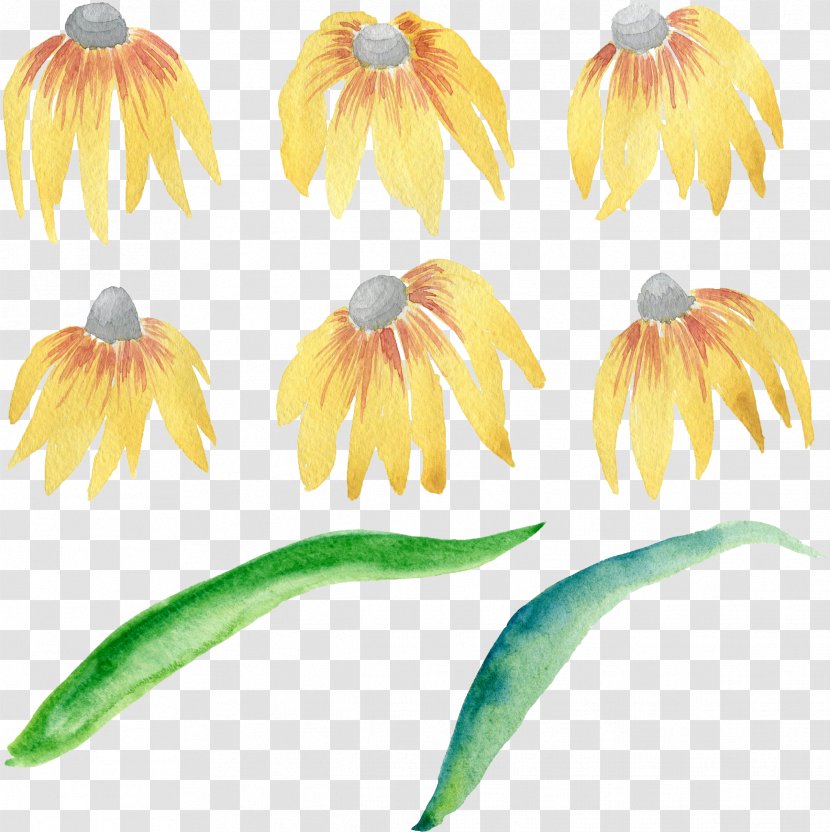 Flower Watercolor Painting Clip Art Image - Plant Stem Transparent PNG