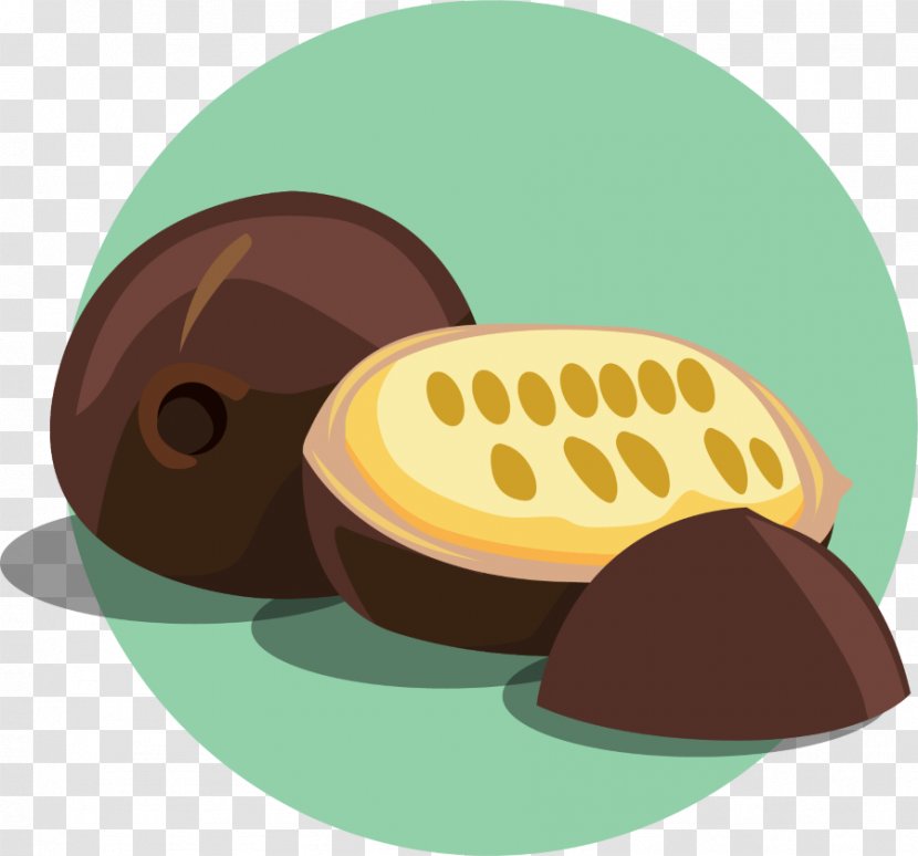 Fruit Food Cacao Tree Chocolate Caffeine - Rainy Season Accessories Transparent PNG