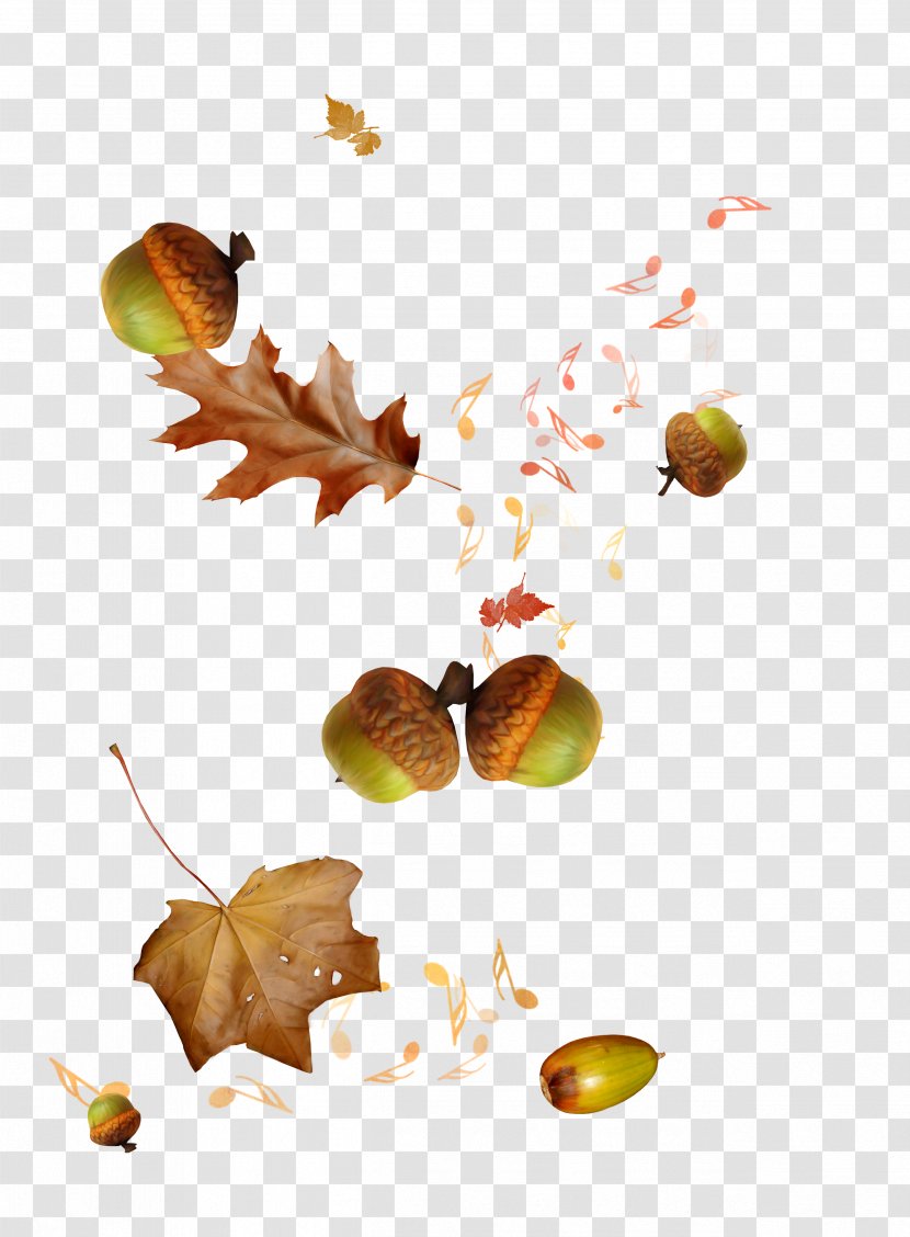 Autumn Animation Blog - Cartoon - Echinacea Leaves Notes Transparent PNG