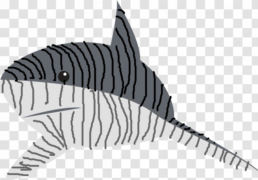 Tiger Shark Clip Art - Organism - Sea Buckthorn Transparent PNG