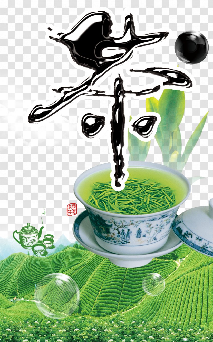 Green Tea Yunnan Yum Cha Pouchong - Water - Garden Creative Background Transparent PNG