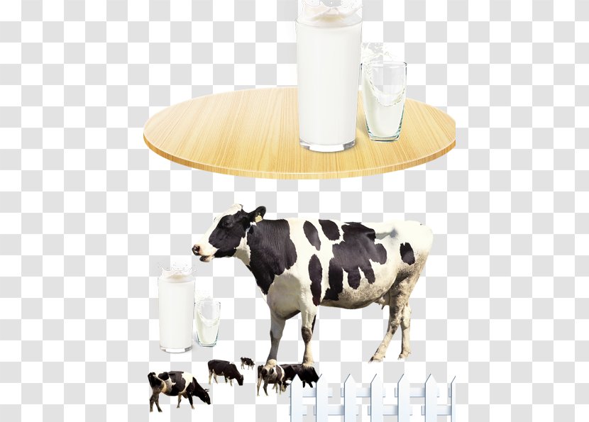 Dairy Cattle Automatic Milking - Cows Milk - Advertising Transparent PNG