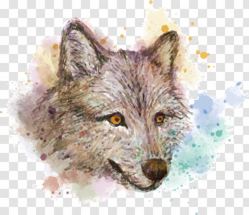 Gray Wolf Watercolor Painting Red Fox Drawing - Paint - Vector Hand Painted Transparent PNG