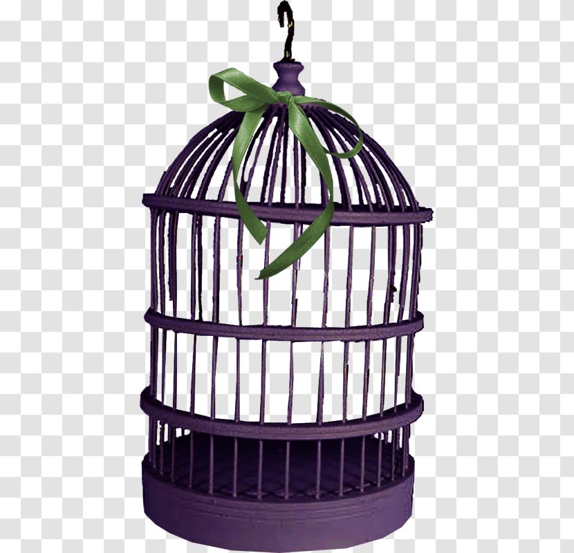 Birdcage Pet Clip Art - Blog Transparent PNG