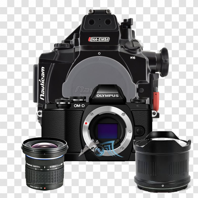 Digital SLR Mirrorless Interchangeable-lens Camera Lens Photography Transparent PNG