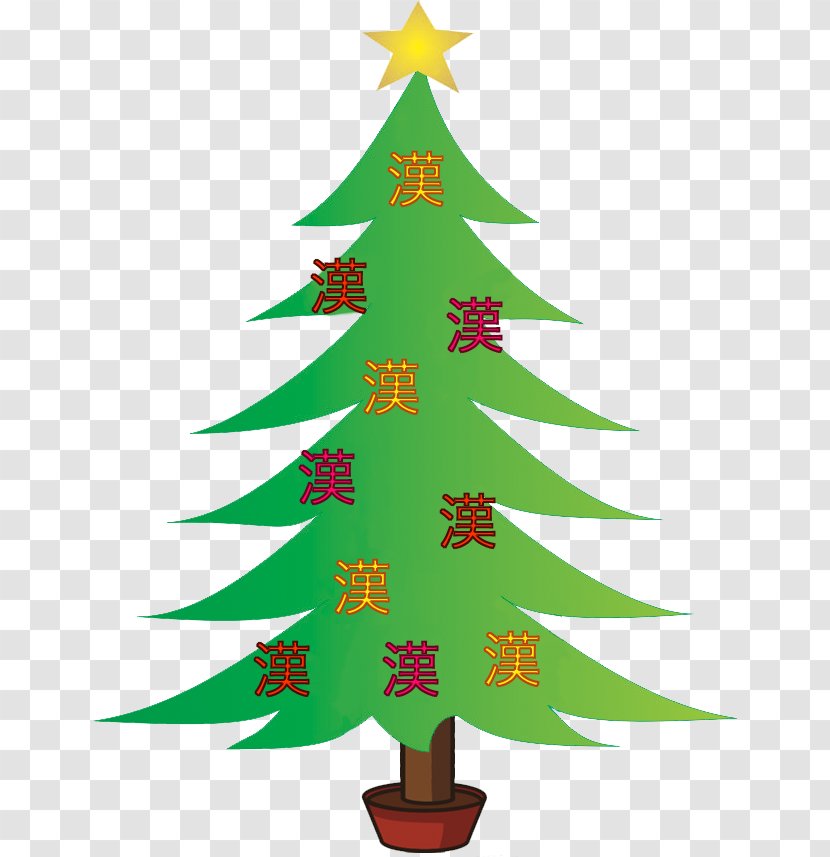 Christmas Tree Lawyer Spruce Verbundplatte Catania Bicocca - Evergreen Transparent PNG