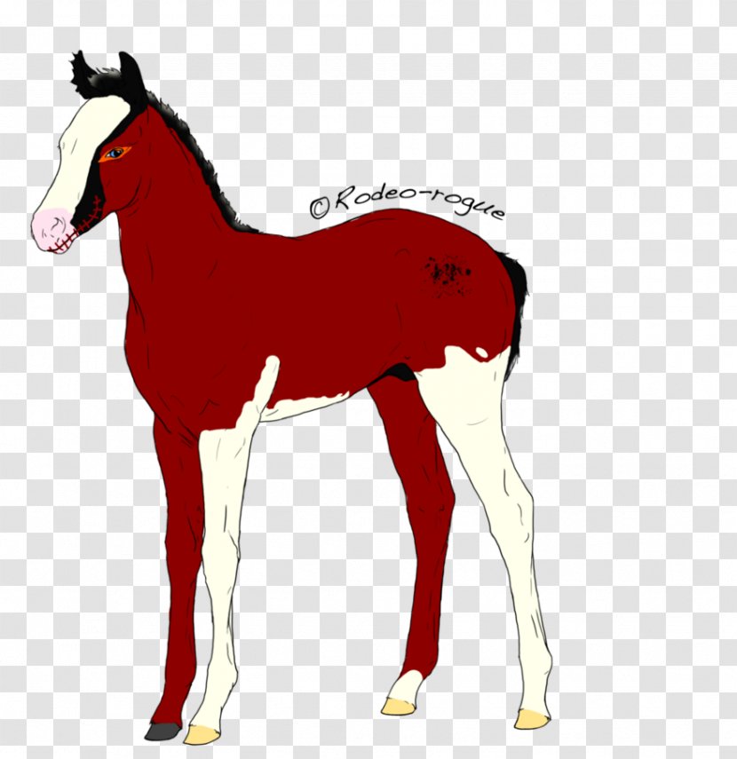 Foal Colt Stallion Mare Mustang Transparent PNG