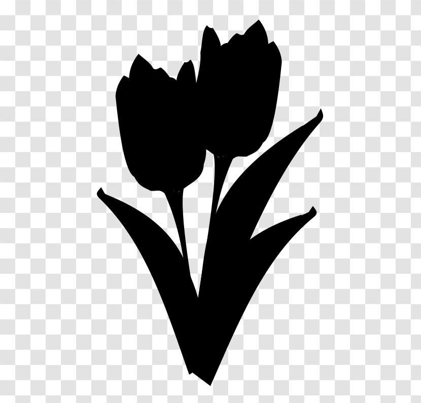 Tulip Rose Family Clip Art Leaf - Monochrome Photography - Blackandwhite Transparent PNG