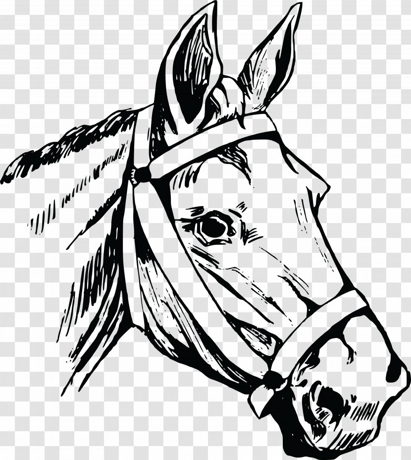 Horse Drawing Clip Art - Donkey Transparent PNG