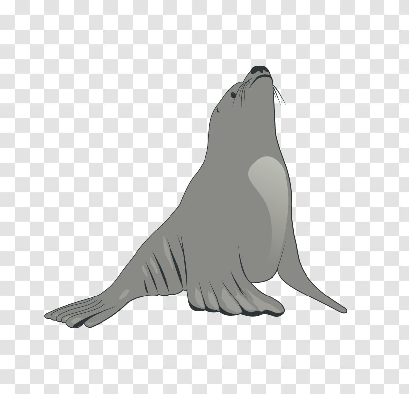 Earless Seal Sea Lion Clip Art - Animal Show - Lions Transparent PNG