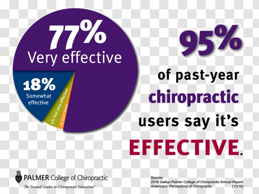 Palmer College Of Chiropractic Chiropractor Back Pain Spinal Adjustment - Education - Chir Transparent PNG