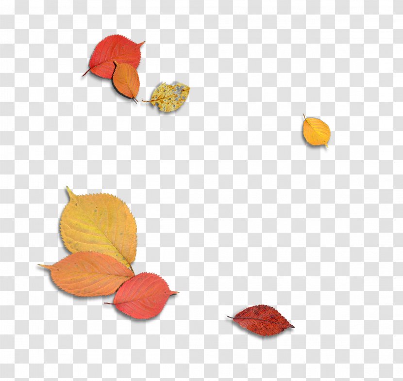 Maple Leaf Autumn - Three-dimensional Decorative Material Falling Leaves Transparent PNG