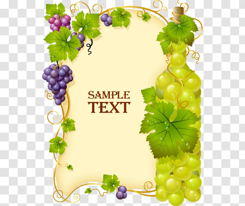 Cabernet Franc Sauvignon Blanc Pinot Gris Wine - Flowering Plant - Beautifully Fresh Grapes Border Transparent PNG