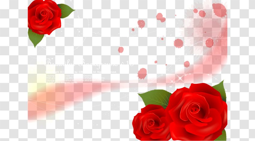 Garden Roses Beach Rose Red - Heart - Background Vector Material Transparent PNG
