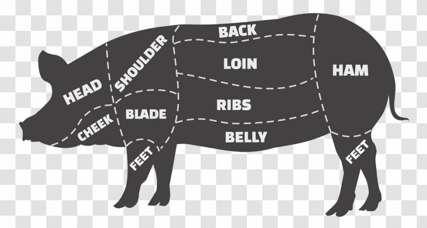 Domestic Pig Cattle Ham Cut Of Pork - Brand Transparent PNG