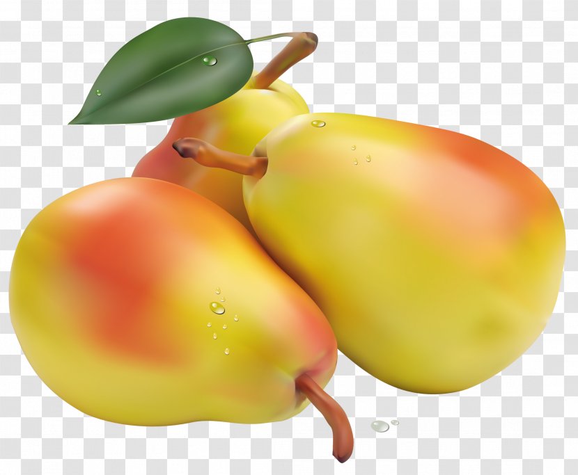 Pear Fruit Vegetable Clip Art - Apple - Pears Clipart Picture Transparent PNG
