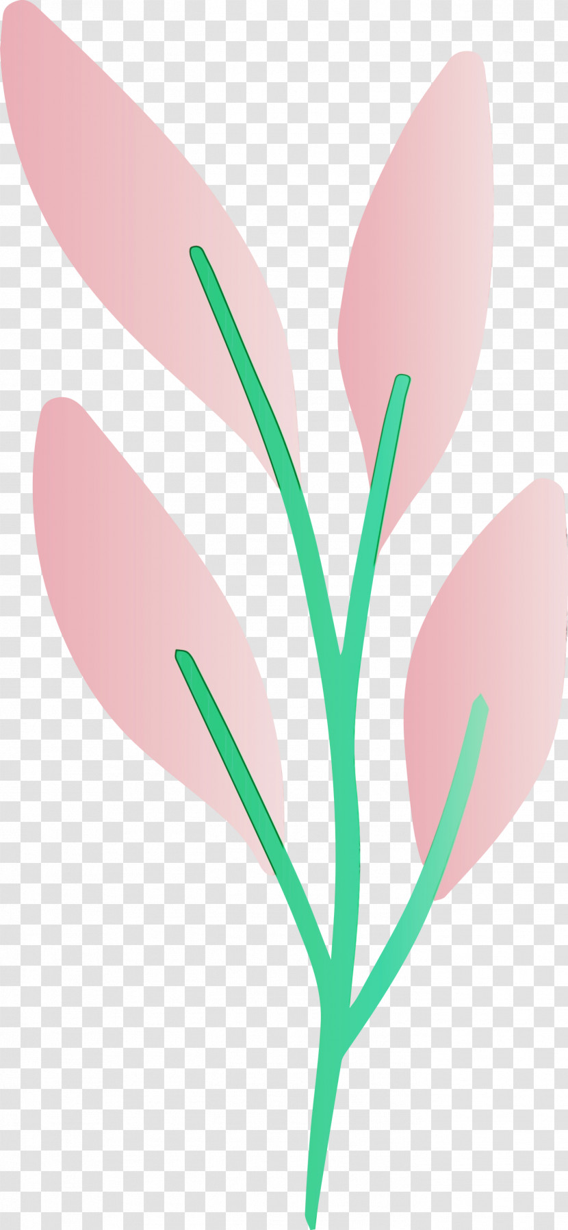 Flower Pink Leaf Plant Pedicel Transparent PNG