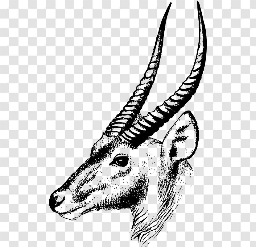 Antelope Oryx Impala Clip Art - Love Sign Transparent PNG