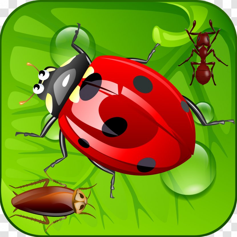 IPod Touch App Store Beetle ITunes - Ant Transparent PNG