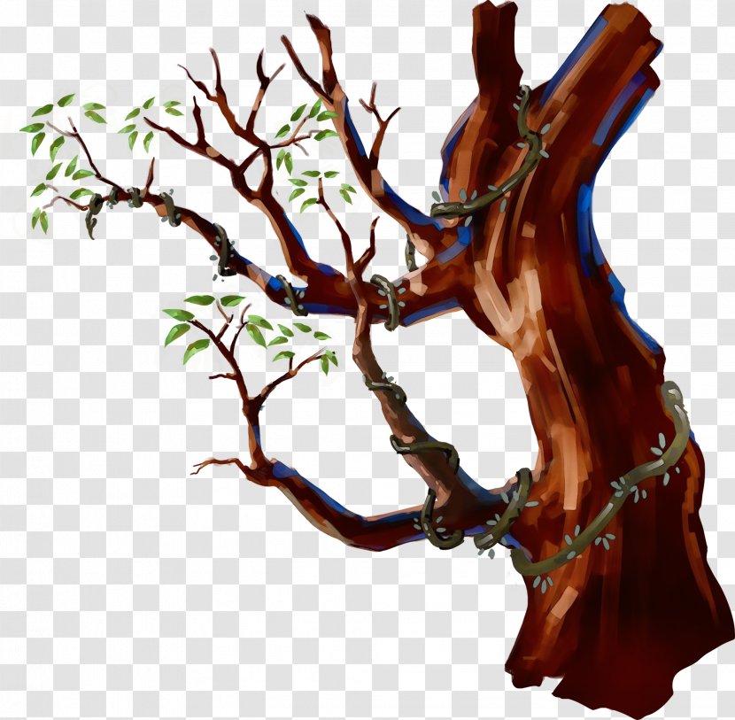 Branch Tree Plant Woody Twig - Stem - Root Transparent PNG