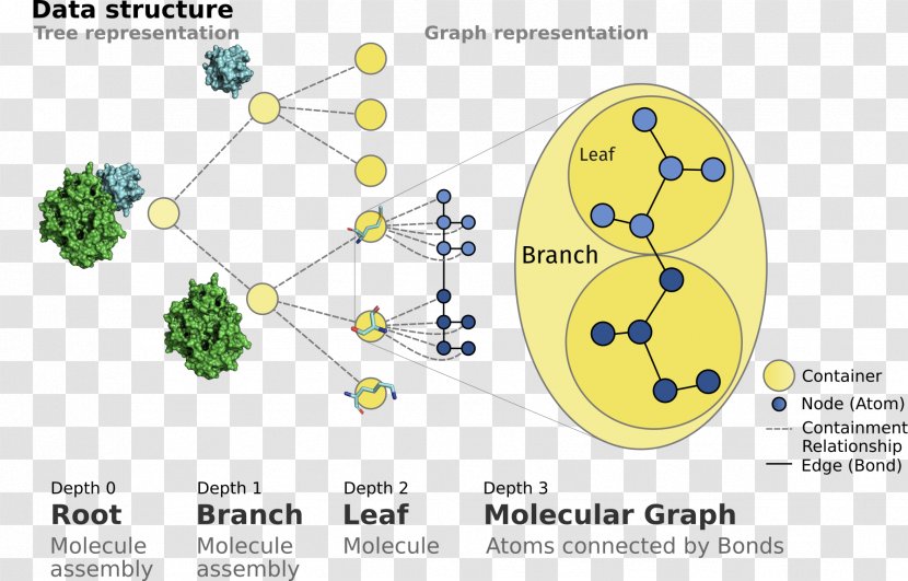 Product Design Tree Line Point - Organism - Biological Molecules Chart Information Transparent PNG