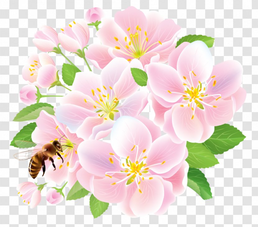 Flower Flowering Plant Petal Pink - Blossom Prickly Rose Transparent PNG