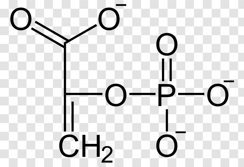 Phosphoenolpyruvic Acid Fischer Projection Structure Pattern - Symmetry - Diagram Transparent PNG