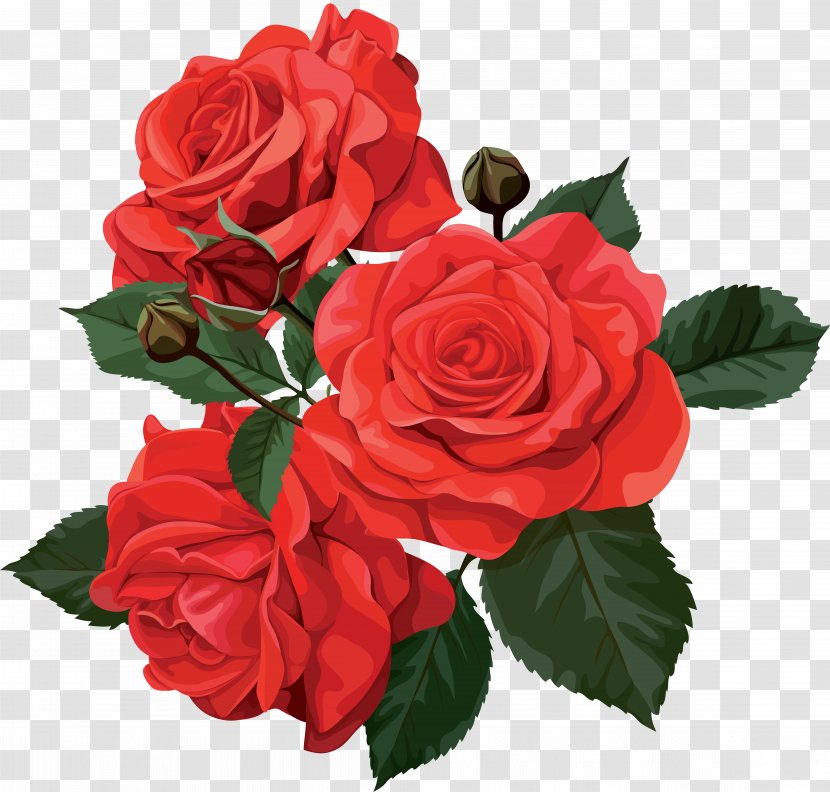 Flower Bouquet Rose Clip Art - Wedding Transparent PNG
