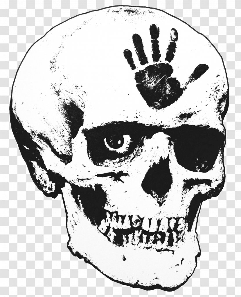 Skull Drawing - Head - Forehead Transparent PNG