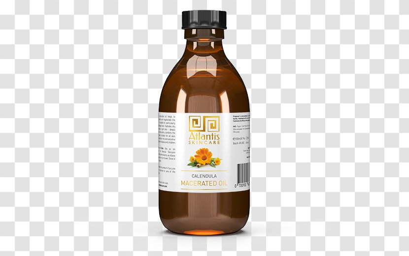 Sea Buckthorn Oil List Of Macerated Oils Infusion Buckthorns - Calendula Officinalis Transparent PNG