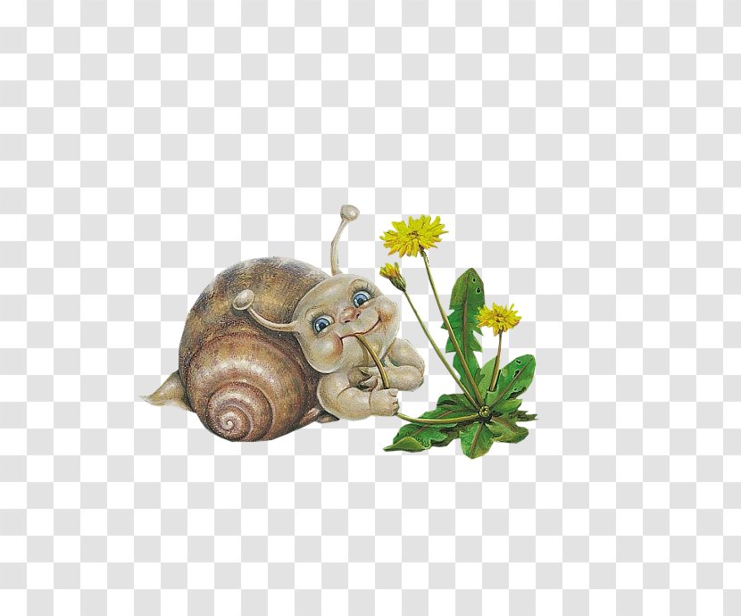 Giant African Snail Xc9pinal Animation - Cute Little Transparent PNG