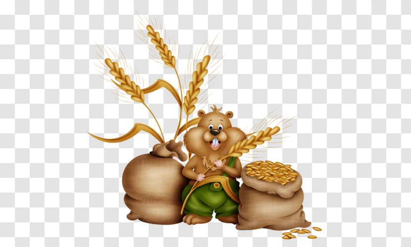 Food Animal Commodity Grasses Family - FOOTER Transparent PNG
