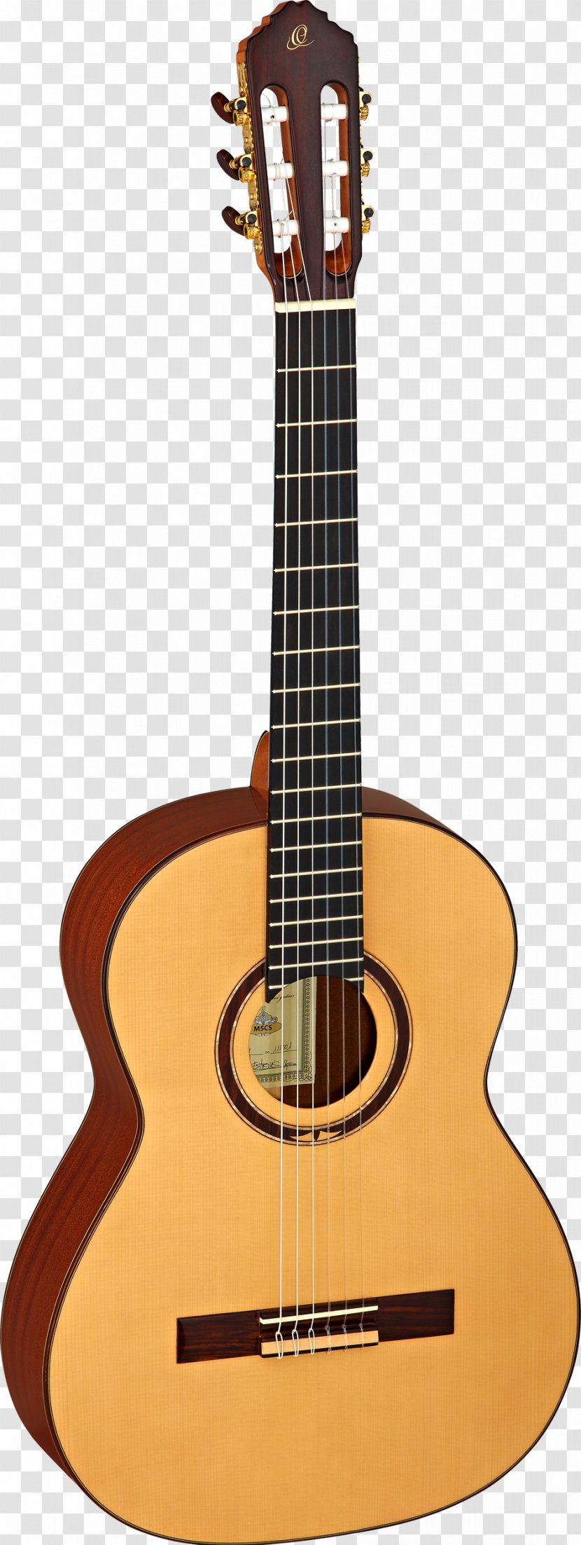 NAMM Show C. F. Martin & Company Steel-string Acoustic Guitar D-28 - Electric - Amancio Ortega Transparent PNG