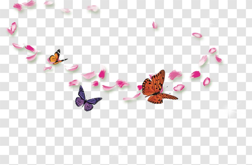 Flash Video Matroska - Audio Interleave - Butterfly Transparent PNG